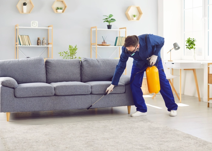 Traitement chimique punaise de lit Roubaix – Certifié et garanti 59100 Nord